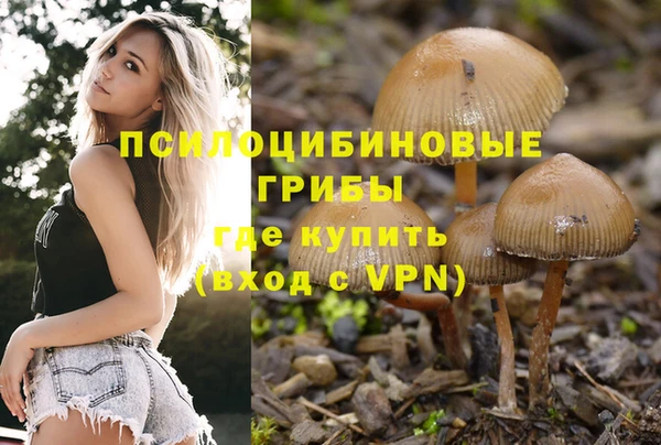 твердый Алзамай