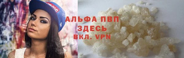 твердый Алзамай