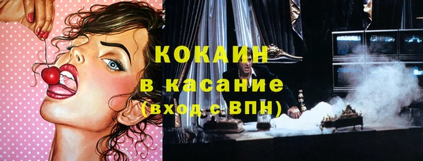 твердый Алзамай