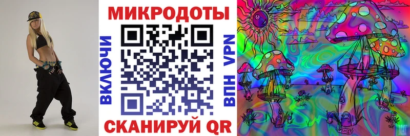 Галлюциногенные грибы Cubensis  mega зеркало  Петрозаводск 