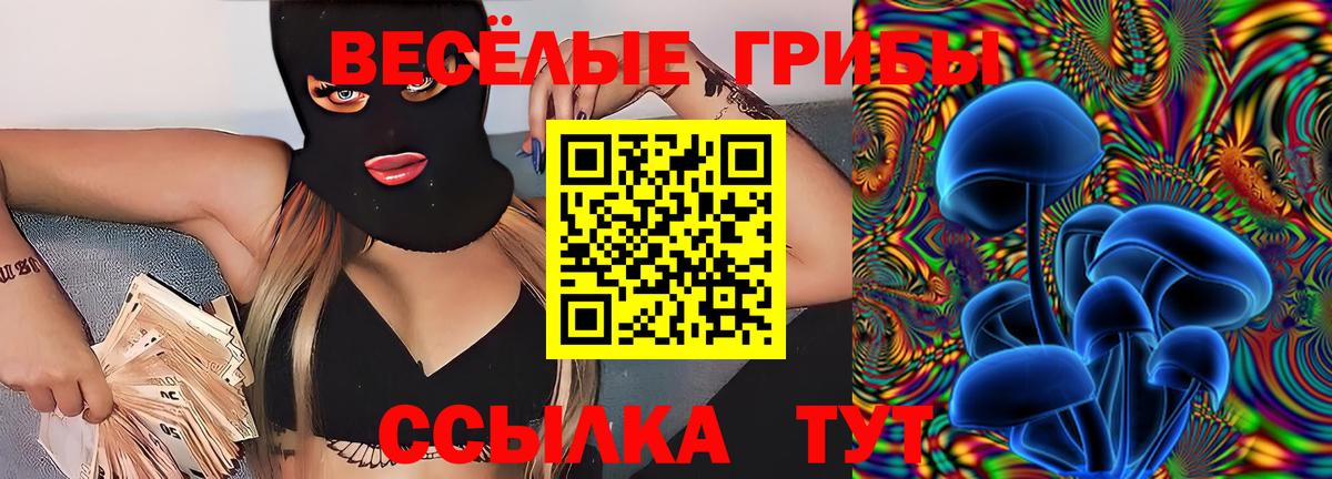 Петрозаводск  Псилоцибиновые грибы GOLDEN TEACHER  Вход с VPN 